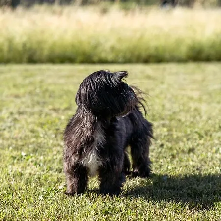 Dom wakacyjny Loz Stari Trg pri Lozu